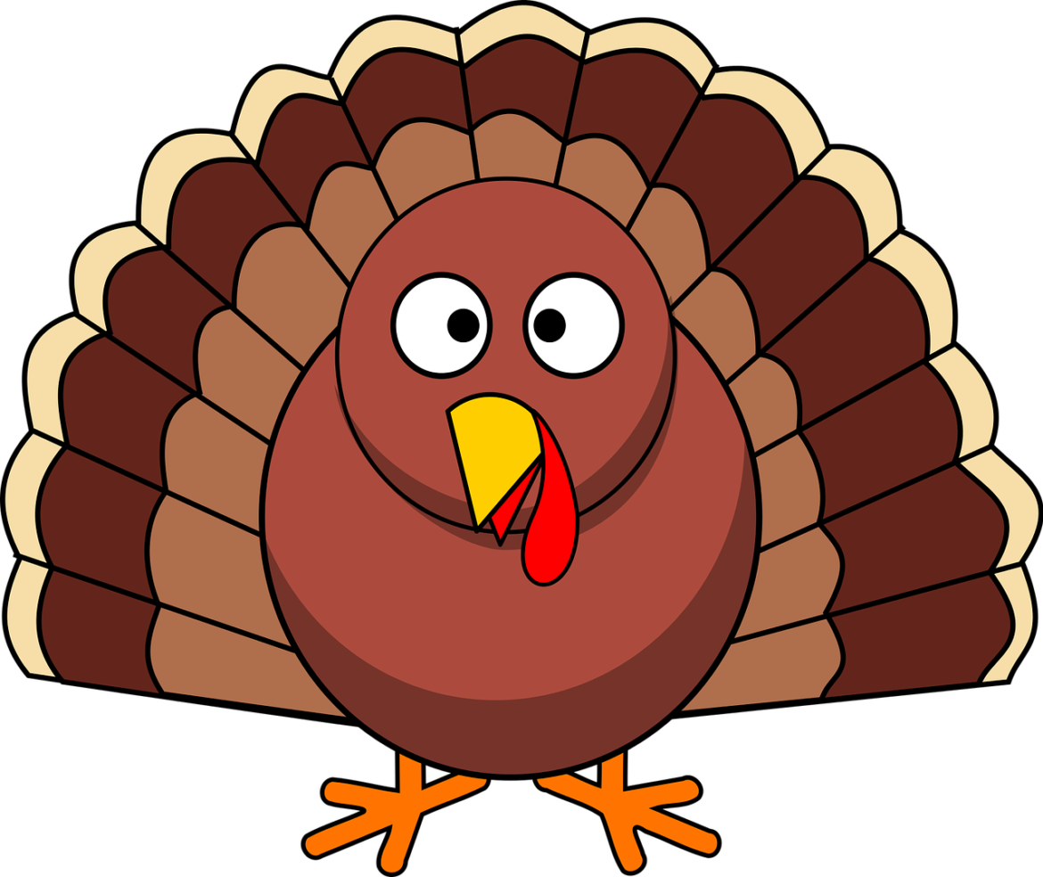 Cartoon-Turkey.png