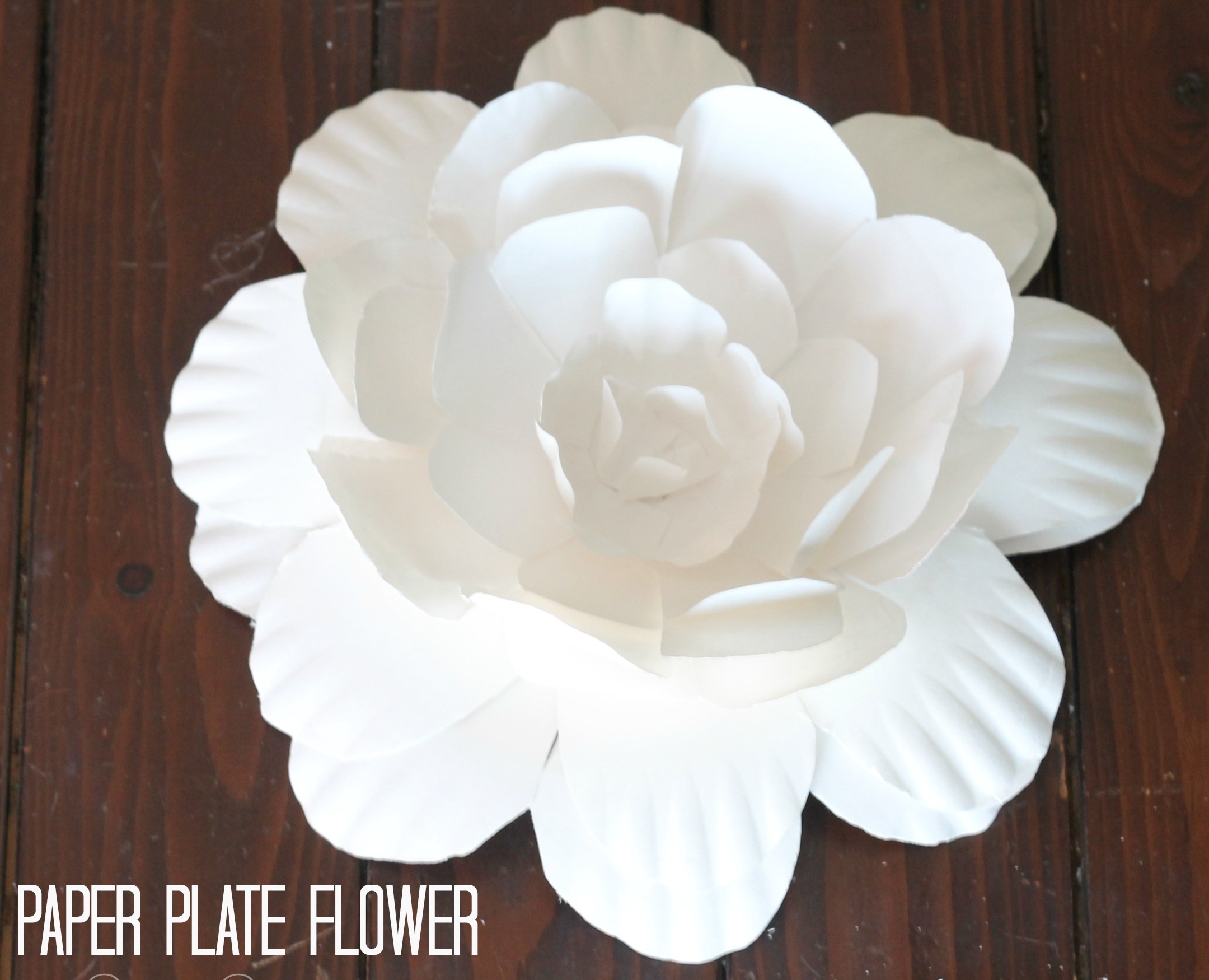 Paper Gardenia
