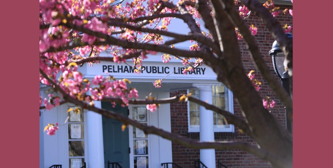 What We Borrowed, Downloaded and Attended:  A Look at Pelham Library Activity in 2017