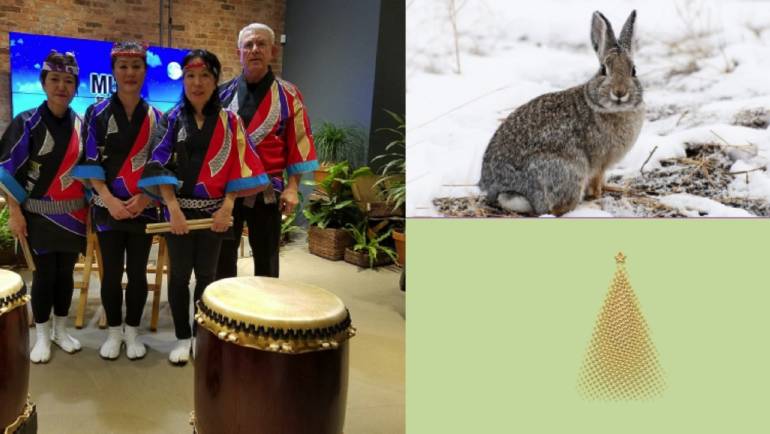 Animals, Drumming, Games and  a Movie … At the Library Over the Holidays!