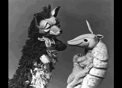 fox-and-armadillo.gif