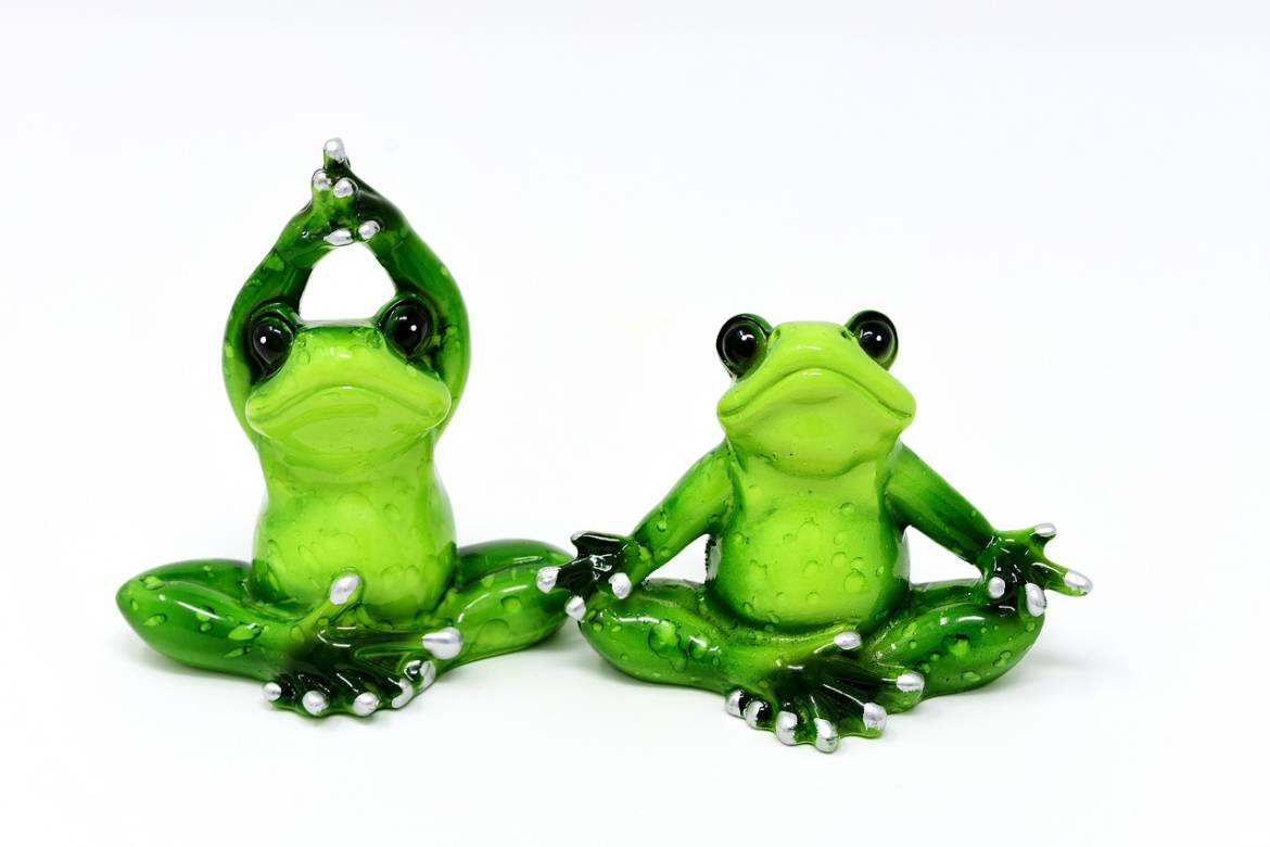 frog-yoga.jpg